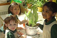 Gardening